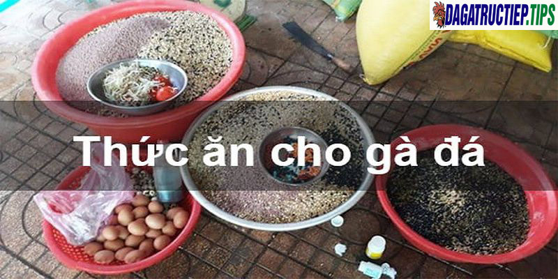 Lúa cần phải được chế biến khi cho gà ăn 