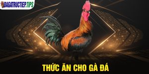 Thức Ăn Cho Gà Đá Khỏe Mạnh, Bách Chiến Bách Thắng